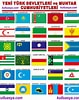 Tarihte Yaşamış Türk Devletlerinin Bayrakları için resim sonucu. Boyutu: 79 x 100. Kaynak: www.pinterest.com