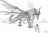 Hivewing Peregrinecella Wof Dragons Rainwing sketch template