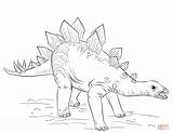 Stegosaurus Coloring Pages Dinosaur Drawing Draw Young Kids Dinosaurs Supercoloring Printable Color Tutorials Step sketch template