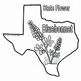 Texas Coloring Bluebonnet Pages Bluebonnets Longhorn Color Sheets Flag Print Bob Drawings Book State Printable Drawing Blue Sheet Line Bonnets sketch template