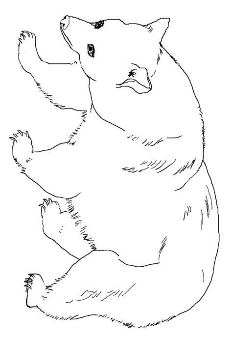 black bear coloring page