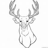 Deer Coloring Pages Coloring4free Skull Graphics Printable Head Whitetail Forest sketch template