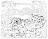 Tuatara Coloring Reptile Digital A3 Large Instant sketch template