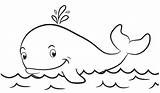 Mewarnai Paus Ikan Hewan Aneka Untuk Hiu Lucu Papan Kunjungi sketch template