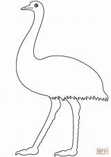 Emu sketch template