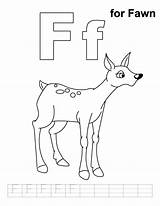 Coloring Fawn Pages Handwriting Practice Library Clipart Popular sketch template