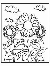 Coloring Sunflower Sunflowers Parents 색칠 공부 그림 색칠하기 Xml Sonnenblume Malvorlagen 정물화 출처 sketch template