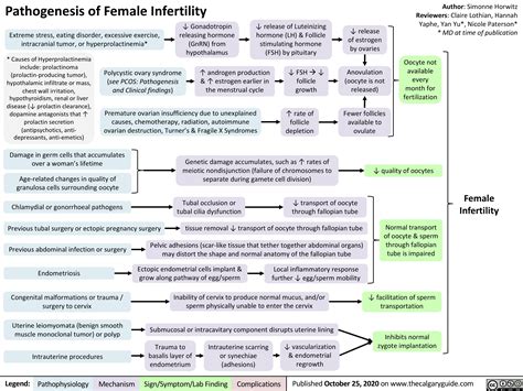 pathogenesis of female infertility calgary guide