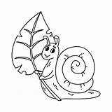 Snail Bugs Slugs Shell Caracol 30seconds Explosion Spiral Aislada Vectorial Iconos Sosteniendo Linda sketch template