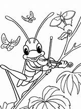 Heuschrecke Sprinkhaan Heuschrecken Kleurplaat Sprinkhanen Grasshopper Maak Malvorlage Coloring Persoonlijke Ausmalbild sketch template