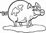 Cartoon Pig Coloring Farm Stock Illustration Vector Book Izakowski Mud Depositphotos sketch template