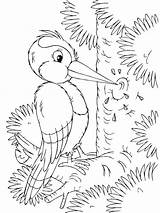Pages Coloring Woodpecker Birds Recommended Woodpeckers sketch template