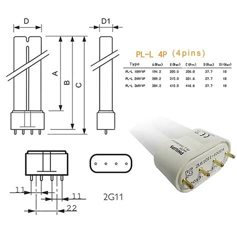 twin tube fluorescent light wiring diagram  wiring collection