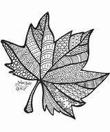 Zentangle Feuille Automne Mandalas Hoja Tegninger Arbre Colorier Zentangles Malebøger Otoño Ideer Feather Broderimønstre Idéer Enkle Blomster árbol sketch template