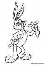 Looney Tunes Coloring Pages Printable Color Print Book Browser Window sketch template