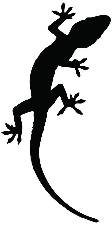 lizard outline cliparts   lizard outline cliparts png