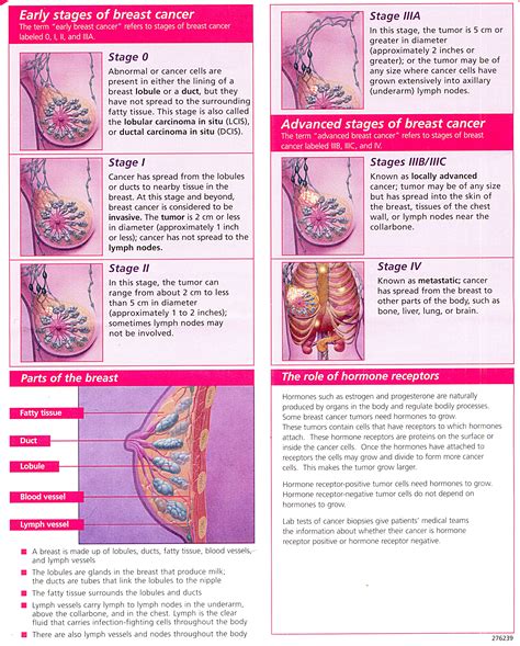 Visual Guide To The Stages Of Breast Cancer – Rocking The Road For A Cure