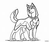 Husky Pintar Musculos Saco Perros sketch template