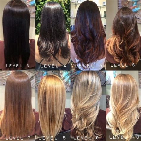 balayage  ombre google search levels  hair color hair levels aveda hair color hair