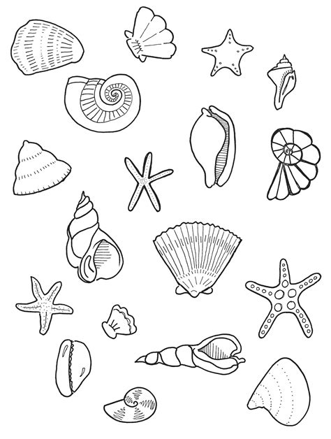 shell colouring page   porn website