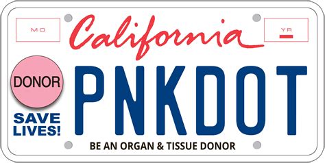 printable temporary license plate california customize  print