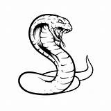 Cobra Kleurplaat Leuk Slangen sketch template