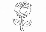 Rose Coloring Red Drawing Roses Cartoon Single Drawings Getdrawings Pages sketch template