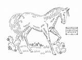 Embroidery Patterns Printable Horse Horses Transfers Pattern French Hand Transfer Vintage Designs Easy Knots Spoonflower Equine Weekend Crafts Around Things sketch template