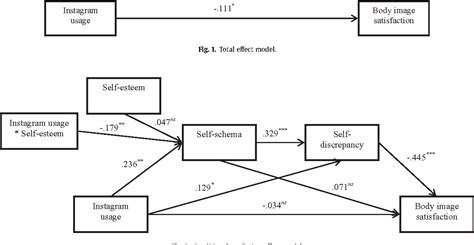 schema   discrepancy mediate  influence  instagram usage  body image