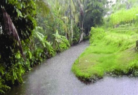 rivulet  dasa   located   north  dam kebo kuning
