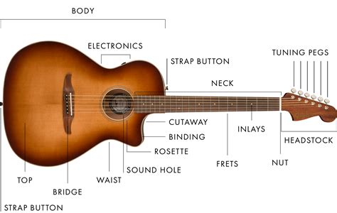 acoustic guitar parts diagram