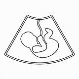 Outline Womb Baby Ultrasound Icon Fetus Pregnancy Line Drawing Mothers Inside Style Background Editor Open Getdrawings Illustration Vector sketch template