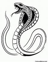 Cobra Serpiente Serpientes Amenazando Serpenti Tatuaggi sketch template