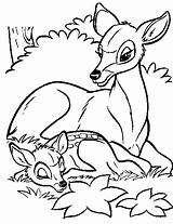 Bambi Kids Coloring Fun sketch template