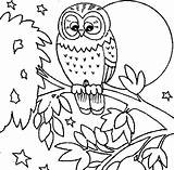 Owl Owls Eule Getcoloringpages Eevee Malvorlage Pngkey Evolutions Rocks Getdrawings Ausmalbildervorlagen sketch template