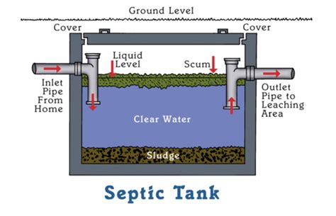 septic tank works earlyexperts