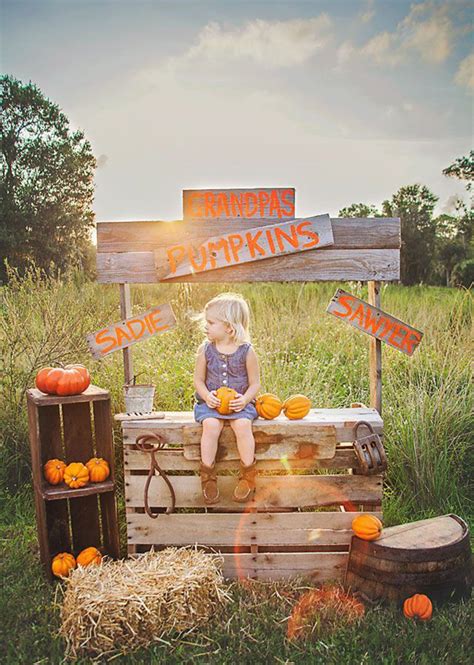 cute pumpkin stand ideas homemydesign