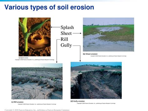 chapter  soil degradation  conservation powerpoint