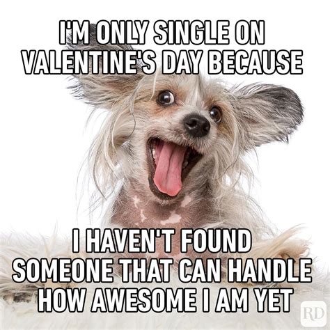 Valentines Day 2022 Jokes Funny Memes Images Quotes For Singles