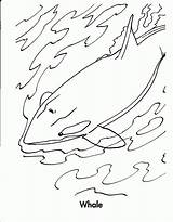 Shamu Orca Whale sketch template