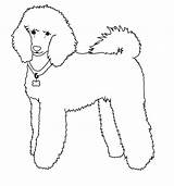 Poodle Caniche Pudel Outline Bichon Malvorlage Frise Animado Aprende Rapido Tierno Cachorro sketch template