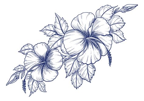 flower drawing vector art icons  graphics