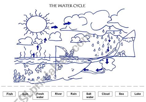 water cycle esl worksheet  pumuki