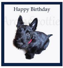 scottie dog square greeting card happy birthday scottie dog square greeting card scottie
