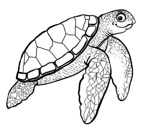 sea turtle coloring pages  printable coloringfoldercom turtle