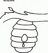Lebah Sarang Mewarnai Ranting Hitam Putih Pohon Sketsa Takut sketch template