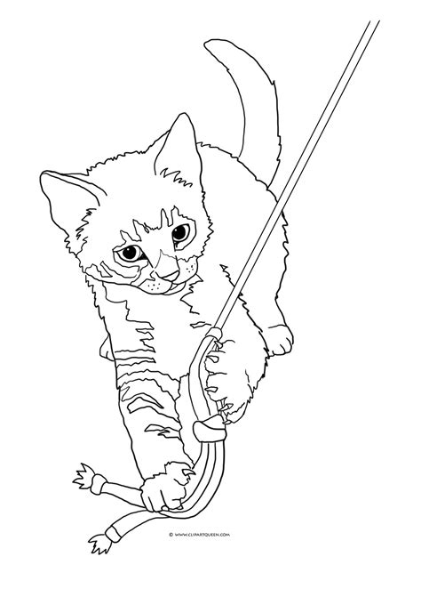 realistic kitten drawing  getdrawings