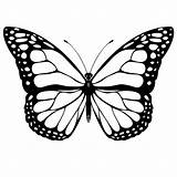 Butterfly Wing Outline Clipart Drawing Library sketch template