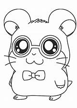 Coloring Hamster Pages Cute Popular sketch template