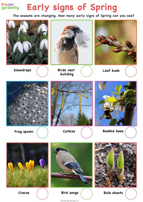discover  beauty  spring   spotter activity sheet